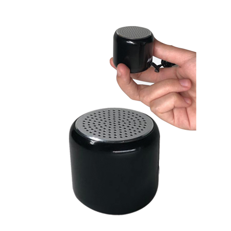 speaker 2 mini